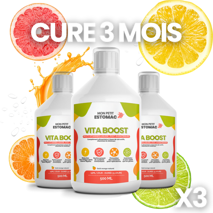 Pack 3 mois cure VITA BOOST