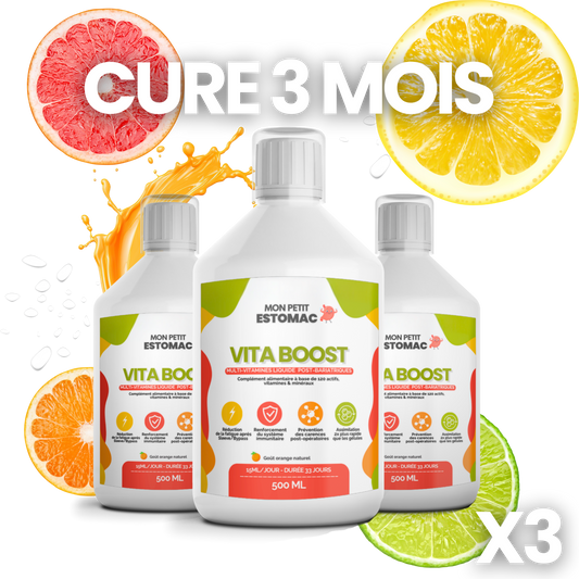 Pack 3 mois cure VITA BOOST